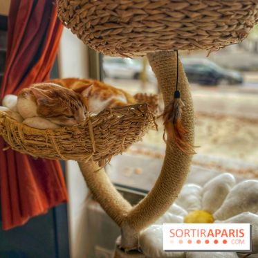 Chat-Rivari Café