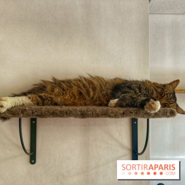 Chat-Rivari Café