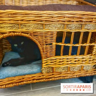 Chat-Rivari Café - IMG 4700