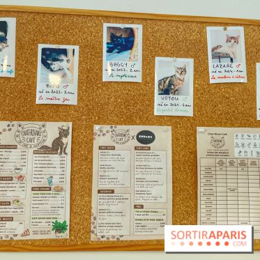Chat-Rivari Café
