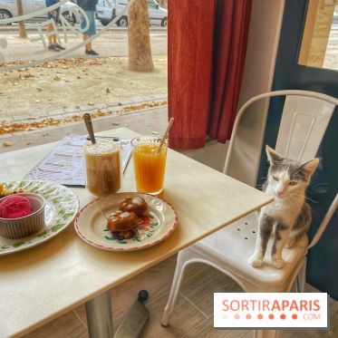 Chat-Rivari Café - IMG 4716