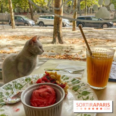 Chat-Rivari Café