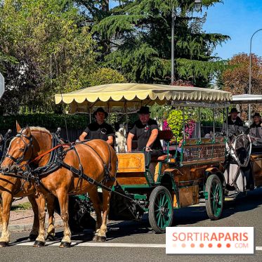 Tous en piste ! à Maisons-Laffitte (78): poneys, calèche et spectacles équestres gratuits au château - IMG 8078 jpg