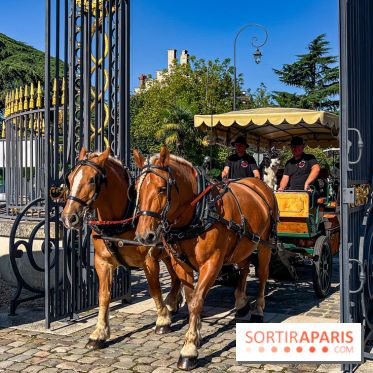 Tous en piste ! à Maisons-Laffitte (78): poneys, calèche et spectacles équestres gratuits au château - IMG 8081 jpg