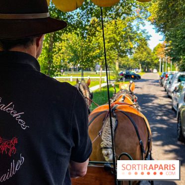 Tous en piste ! à Maisons-Laffitte (78): poneys, calèche et spectacles équestres gratuits au château