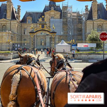 Tous en piste ! à Maisons-Laffitte (78): poneys, calèche et spectacles équestres gratuits au château