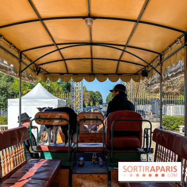 Tous en piste ! à Maisons-Laffitte (78): poneys, calèche et spectacles équestres gratuits au château - IMG 8163 jpg
