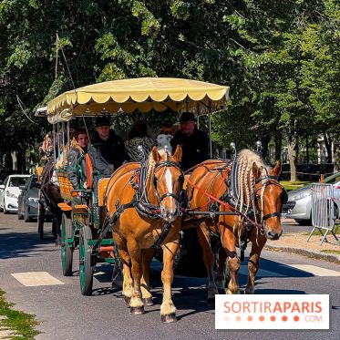 Tous en piste ! à Maisons-Laffitte (78): poneys, calèche et spectacles équestres gratuits au château - IMG 8210 jpg
