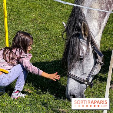 Tous en piste ! à Maisons-Laffitte (78): poneys, calèche et spectacles équestres gratuits au château