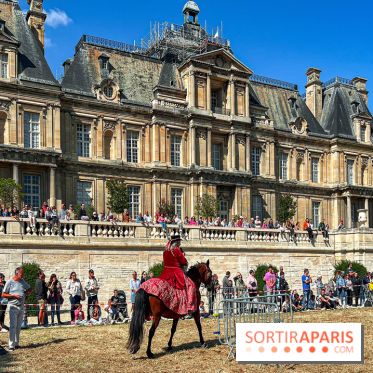 Tous en piste ! à Maisons-Laffitte (78): poneys, calèche et spectacles équestres gratuits au château - IMG 8311 jpg