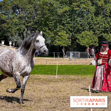 Tous en piste ! à Maisons-Laffitte (78): poneys, calèche et spectacles équestres gratuits au château - IMG 8323 jpg