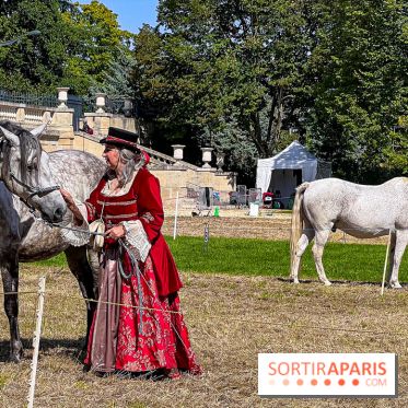 Tous en piste ! à Maisons-Laffitte (78): poneys, calèche et spectacles équestres gratuits au château - IMG 8340 jpg