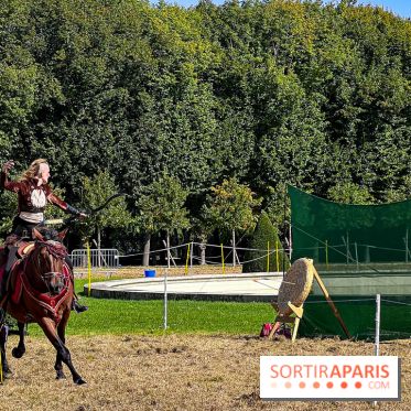 Tous en piste ! à Maisons-Laffitte (78): poneys, calèche et spectacles équestres gratuits au château - IMG 8370 jpg