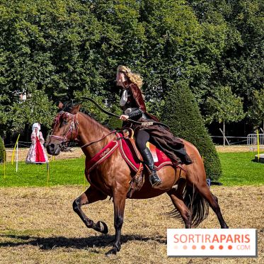 Tous en piste ! à Maisons-Laffitte (78): poneys, calèche et spectacles équestres gratuits au château