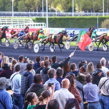 Journée du Portugal à l’Hippodrome Paris-Vincennes - 20220925ELLI001184