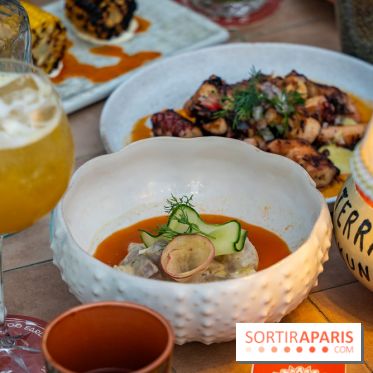 Terraza Mikuna : le rooftop du BHV Marais