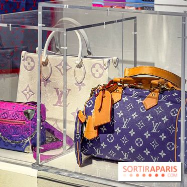 Exposition Louis Vuitton Cornette de Saint Cyr - IMG 8128 jpg