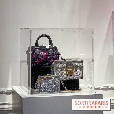 Exposition Louis Vuitton Cornette de Saint Cyr - IMG 8138 jpg