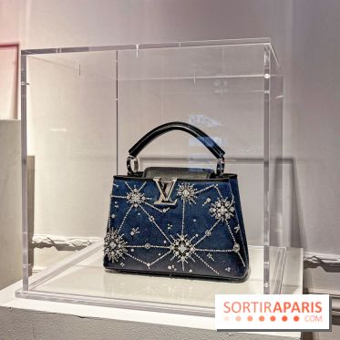 Exposition Louis Vuitton Cornette de Saint Cyr - IMG 8155 jpg