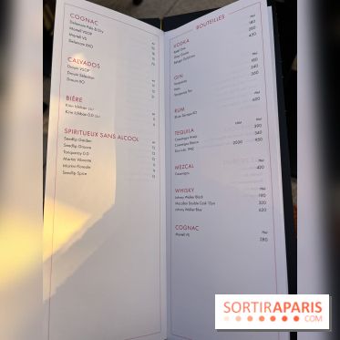 Aqua Kyoto Paris, le rooftop japonais sur les Champs-Elysées - photos - IMG 3902