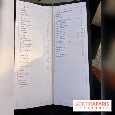 Aqua Kyoto Paris, le rooftop japonais sur les Champs-Elysées - photos - IMG 3901