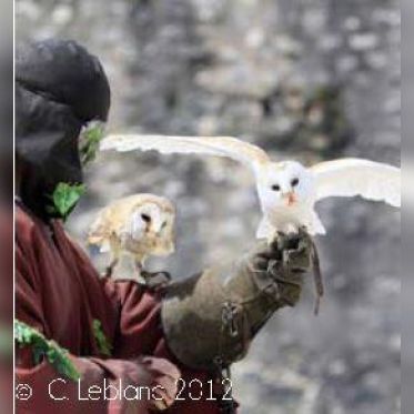 Les aigles des remparts
