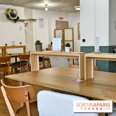 Koneko Work : le café coworking pour travailler en compagnie des chats - DSC 5240