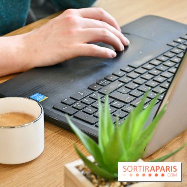 Koneko Work : le café coworking pour travailler en compagnie des chats - DSC 5243