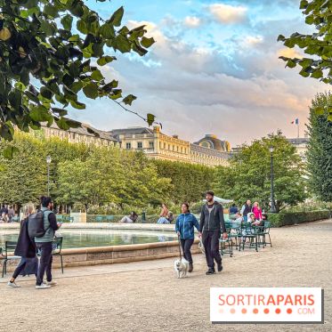 Saison Brésil-France 2025 : sculptures contemporaines au Palais-Royal - IMG 7337