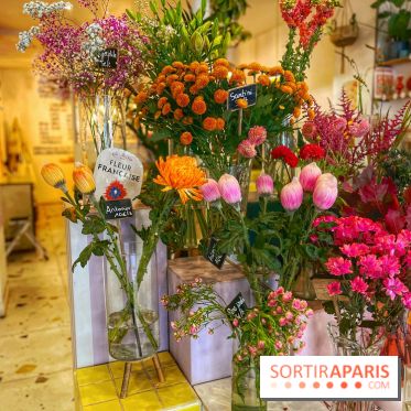 Les filles d'à côté - IMG 5207