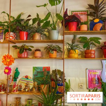 Les filles d'à côté - IMG 5208