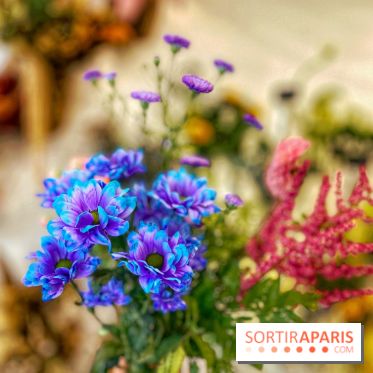 Les filles d'à côté - IMG 5229