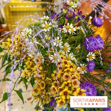 Les filles d'à côté - IMG 5233