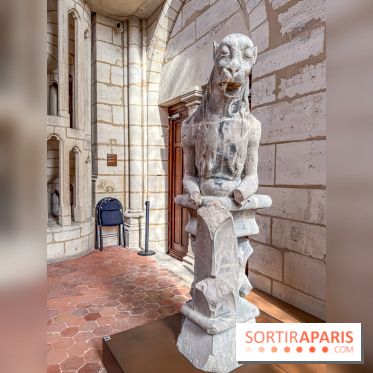 Visite des tours de Notre-Dame de Paris