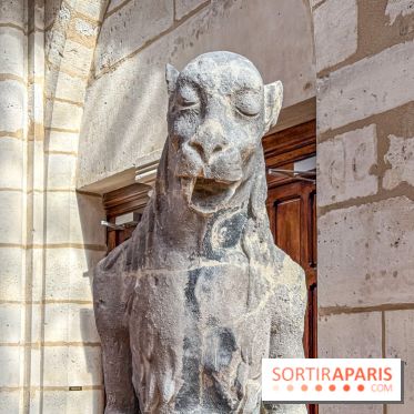 Visite des tours de Notre-Dame de Paris
