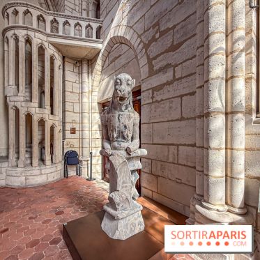 Visite des tours de Notre-Dame de Paris - IMG 7441