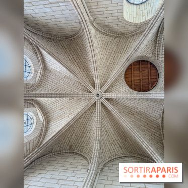 Visite des tours de Notre-Dame de Paris - IMG 7443