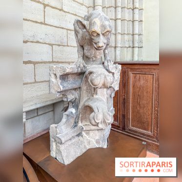 Visite des tours de Notre-Dame de Paris - IMG 7446