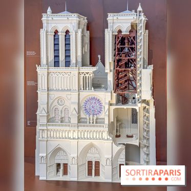 Visite des tours de Notre-Dame de Paris - IMG 7447