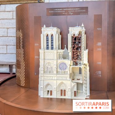 Visite des tours de Notre-Dame de Paris - IMG 7448