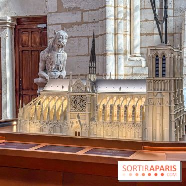 Visite des tours de Notre-Dame de Paris - IMG 7449