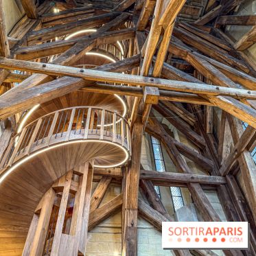 Visite des tours de Notre-Dame de Paris