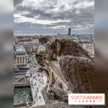 Visite des tours de Notre-Dame de Paris