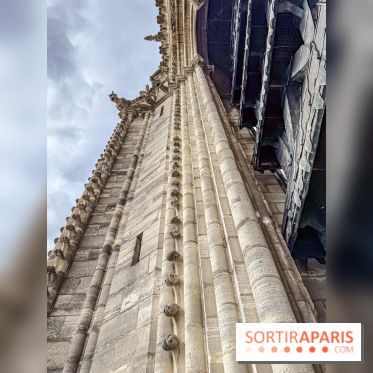 Visite des tours de Notre-Dame de Paris