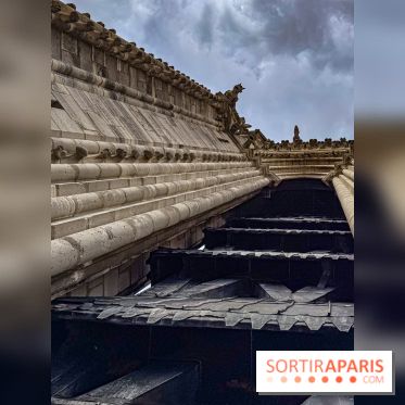 Visite des tours de Notre-Dame de Paris - IMG 7460