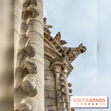 Visite des tours de Notre-Dame de Paris