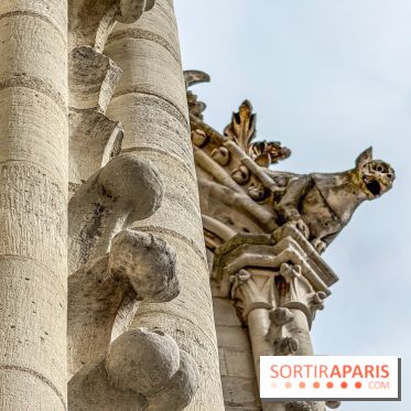 Visite des tours de Notre-Dame de Paris