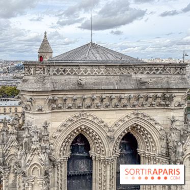 Visite des tours de Notre-Dame de Paris