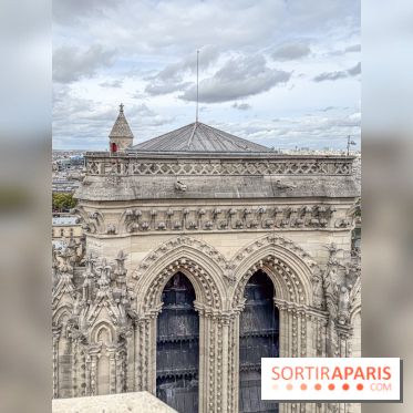 Visite des tours de Notre-Dame de Paris