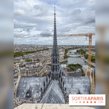 Visite des tours de Notre-Dame de Paris